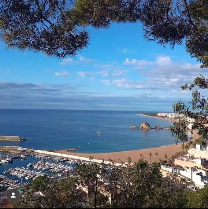 Piso Ideal Para Una Familia Ubicado Cerca Del Mar Blanes Apartment